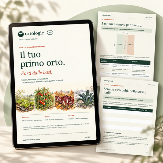 Guida digitale Ortologic Base: presentazione su tablet, dispositivo non incluso